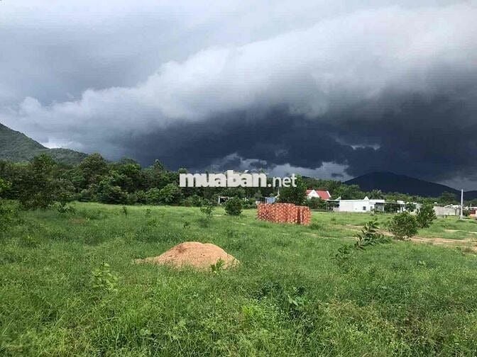 Chính chủ cần bán dự án Thôn TÂN LONG, Xã CHÂU PHA, Thị xã PHÚ MỸ,  Tỉ