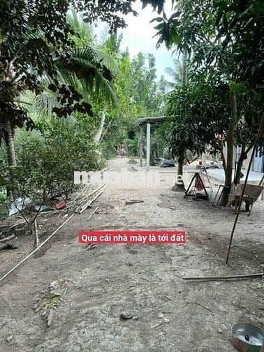 Bán nhà cũ gần cầu bưng trường, quốc lộ 53 vào hơn 1 cây số