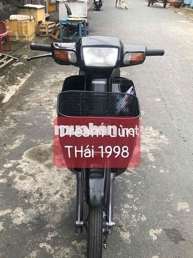 🌻DREAM  Lùn Thái 1998 Bs F4 bốn con🌼đồng hồ báo số