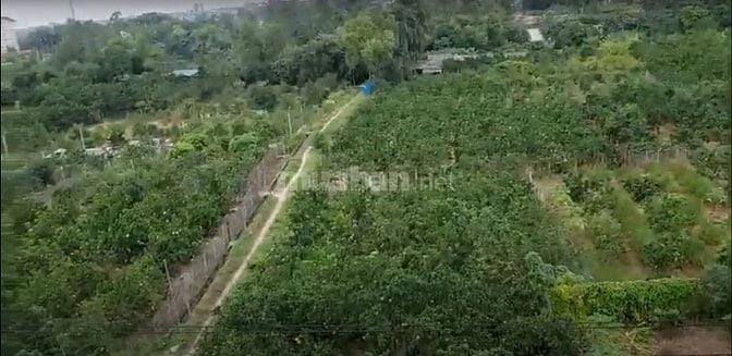 Hot 506m² đất Cây lâu năm, mặt ngõ 35 Đào Duy Tùng gần QL3 Km10, ga Me
