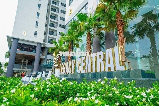 Căn hộ Legacy Kim Oanh 60m² — Bình Dương