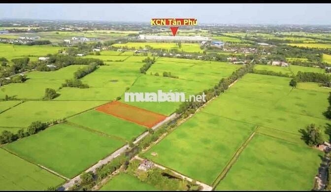 bán đất làm vướn 2493m giá 1ty950