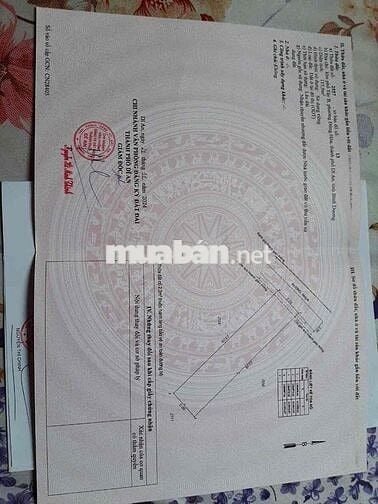 chủ bán đất gần siêu thị bigc( go) ngang 5 m phường đông hòa