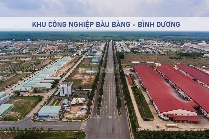 Khu Chợ Đêm Bàu Bàng , Bình Dương,