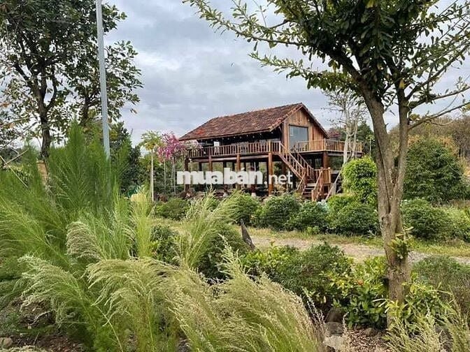 🏡Đất vườn đồi view hồ cực chill tại Đồng Nai – Chỉ 1.1 TỶ/1000m² – SHR