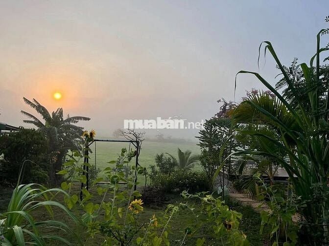 🌿 SIÊU PHẨM ĐẤT VƯỜN NGHỈ DƯỠNG GIÁP SUỐI - LA NGÀ ĐN - CHỈ 860 TRIỆU