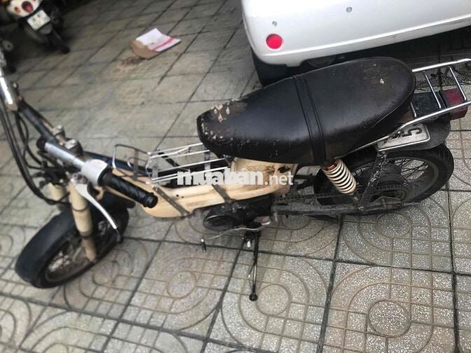 xe nhà lạc giấy