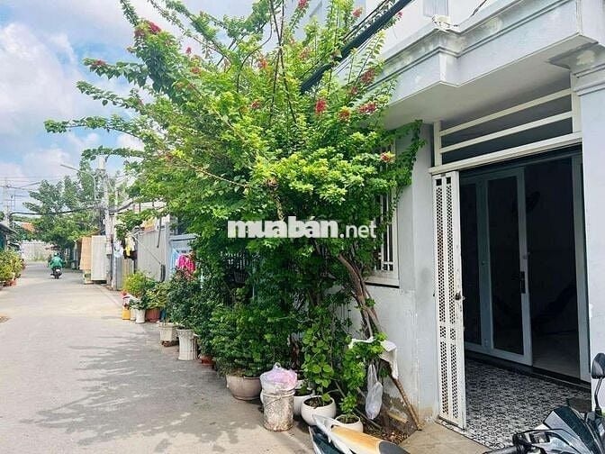Chủ vỡ nợ bán gấp nhà cấp bốn150m,nhỉnh 5 tỷ,đường Lê Văn Lương,Nhà Bè