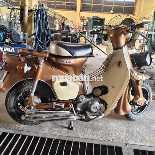 Cub Cối đã hạ mini