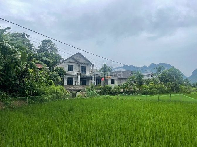 alo ngay em đất đẹp giá cực rẻ chính chủ cần tiền muốn bán gấp 676m 