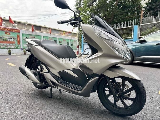 pcx cọp