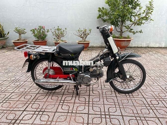 cub nhật 50