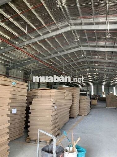 GIẢM GIÁ SỐC – BÁN NHANH NHÀ XƯỞNG 2.340m² NGAY KCN TÂN ĐÔ – HẢI SƠN