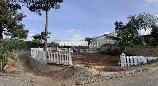 Bán Đất Đèo Mimosa P10 đà Lạt 500trieu Có Sổ Sang Tên