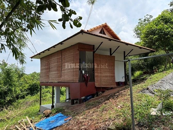 Bán gấp lô đất 1.500m² cạnh hồ Trị An, vị trí đắc địa và tiềm năng 