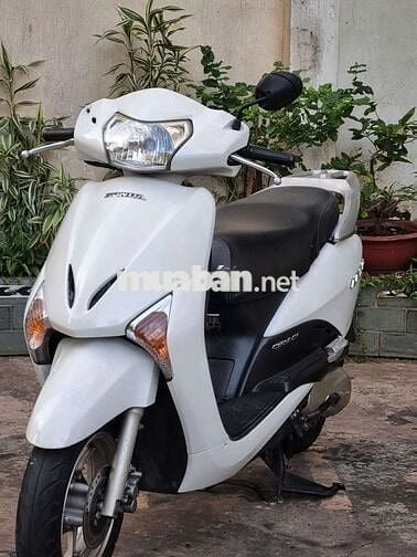 Honda Lead Fi chính chủ sang tên