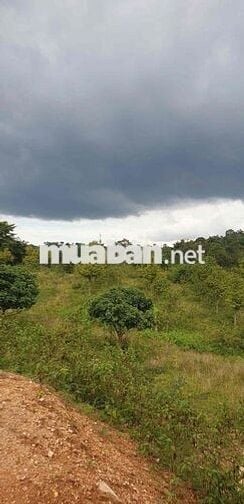 siêu phẩm ôm trọn quả đồi Phường Eakao