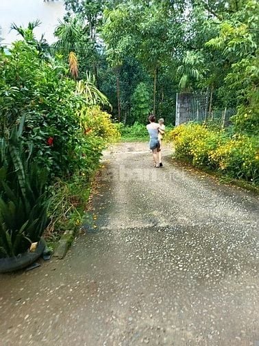 Cắt bán 2286m tc giá rẻ chính chủ tại Vĩnh Tiến Kim Bôi bám suối to đẹ