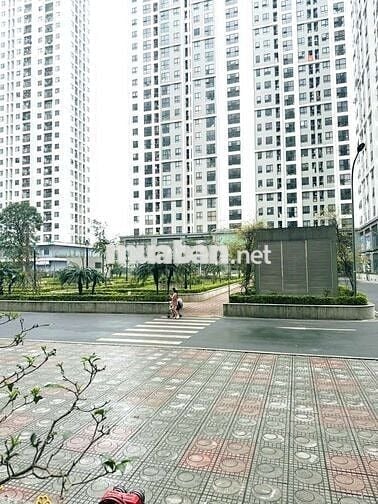 CHUNG CƯ ECOHOME 3 - 47m² -2PN thoáng sáng, view triệu đô. Giá 3,8 tỷ