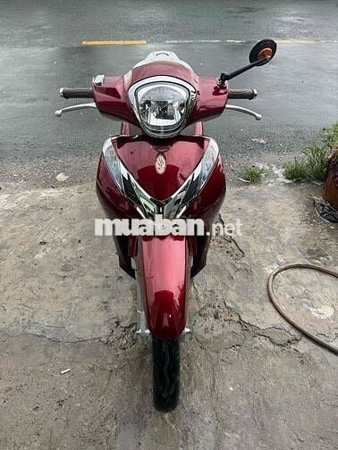 sh mod 2019 zing đẹp