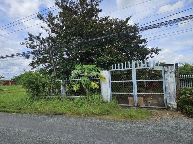 Bán đất lô đất thổ cư 877,9m2 mặt tiền Nguyễn Trần Văn Ngà, TP.Tân An