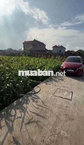 💥 MẢNH ĐẤT VUÔNG ĐẸP 💲 RẺ HƠN CÁC LÔ BÊN CẠNH CẢ TRĂM triệu 👉 TỰ NH