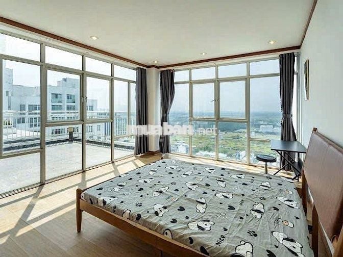 Sang Hợp Đồng Nhà - 12 Phòng, Thu Nhập Ổn Định 50tr/Tháng, Chỉ 40tr!