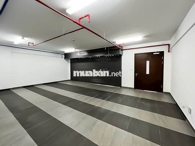 Cho thuê Skylinked Villa 164m2 có gara riêng tại Celadon City