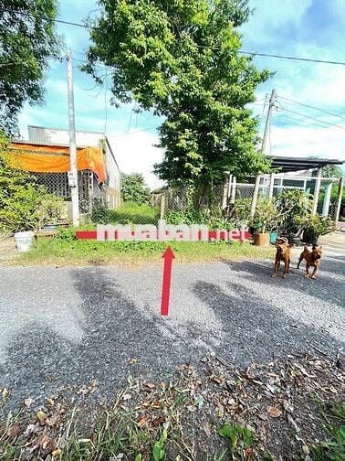 CHỦ NGỘP BÁN LÔ (5x40) GIÁ 560TR TC CÓ SẴN MUA VỀ XÂY DỰNG NGAY GIÁ TL
