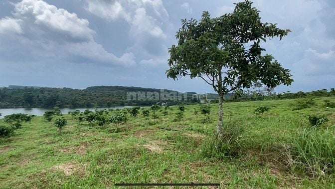 Bán lô đất View hồ có 400m thổ cư, tổng diện tích 8800m2