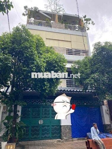 Cho Thuê MT Họ Lê - Phường Phú thạnh : 8 x 20 Đúc 4 Lầu đẹp