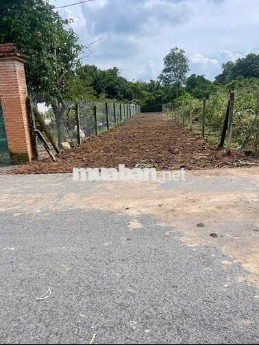 BÁN ĐẤT: 180m2 thổ cư gần trường Mầm non Trung Lập Thượng - SHR