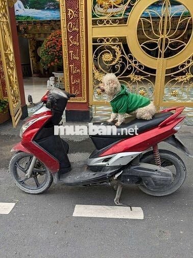 Yamaha Mio ultimo