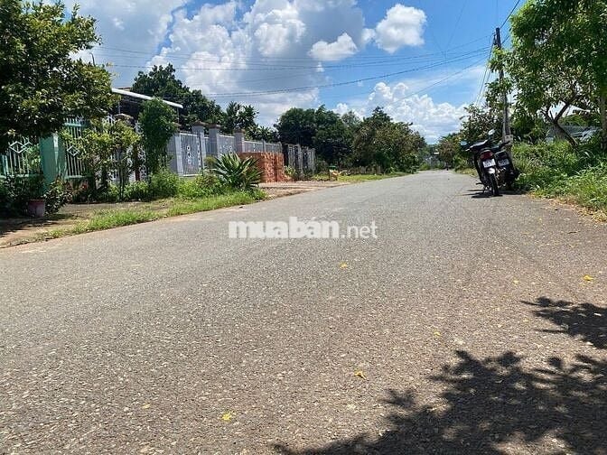 BÁN 220M2 ĐẤT Ở,MẶT TIỀN ĐƯỜNG NHỰA LƠNS,DÂN CƯ Ở ĐÔNG ĐÚC,GIÁ 1,3 T.Ỷ
