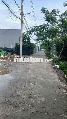 ĐẤT HẺM XE TẢI - KHU PHÂN LÔ- THẠNH XUÂN 25 - 53m2 - Nhỉn 3 ty TL