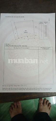 Bán đất ngay vòng xoay long hòa cần giờ 7tr/m²