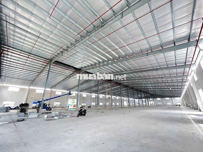 Cho Thuê Kho Xưởng 5000m² Tại Hóc Môn – PCCC Tự Động, Điện 1.000KVA