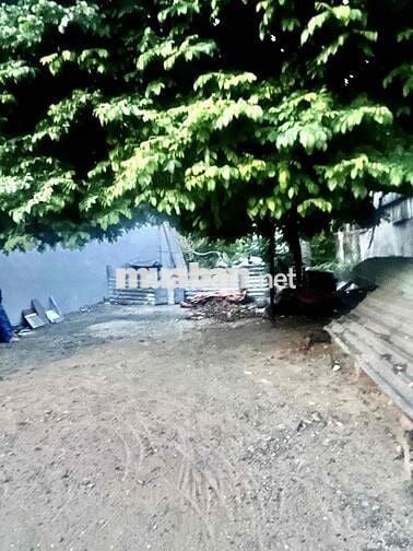 ĐẤT ĐÔNG THẠNH 4 THỔ CƯ GIÁ 4,7 TỶ NGANG 8m GẦN TRƯỜNG NGUYỄN HỮU TIẾN