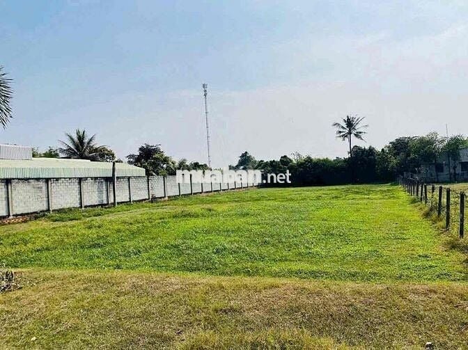 🌳 CƠ HỘI SỞ HỮU LÔ ĐẤT ĐẸP TẠI XÃ TÂN AN HỘI – CỦ CHI 🌳