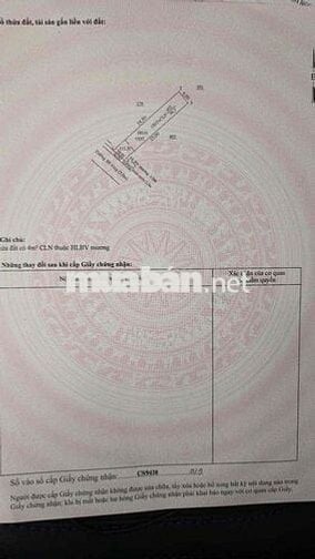 2.2 tỏi 150m ra Phạm Ngọc Thạch