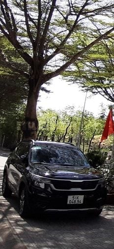 Xe nhà lớn tuổi ít đi nay cần bán gấp 