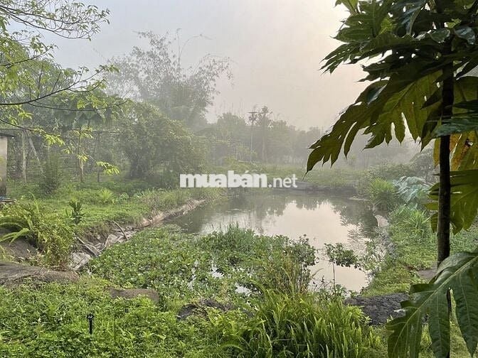 Bán đất CLN 7.800m2, 39m mặt tiền đường Thác Trời, xã Xuân Bắc