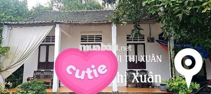 ⛔️⛔️⛔️cho thuê nhà bùi thị xuân gần ga huế