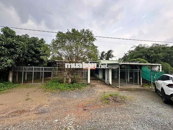 🏠 CHO THUÊ NHÀ CẤP 4 MẶT TIỀN DT830 – CẦN GIUỘC, LONG AN
