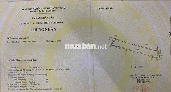 Bán Lô Đất Mặt Tiền Đường Trung An. 5391m2 Xã Trung An, Củ Chi