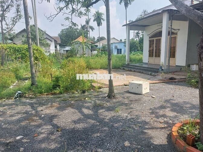 Cho thuê đất, chính chủ, vị trí đẹp, giá cực rẻ, DT 2000m2, có nhà ở.