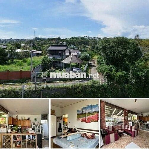 HOMESTAY VIEW NÚI SẴN THỔ CƯ BẢO LỘC DT 619M2 ĐẦY ĐỦ TIỆN ÍCH GIÁ TỐT