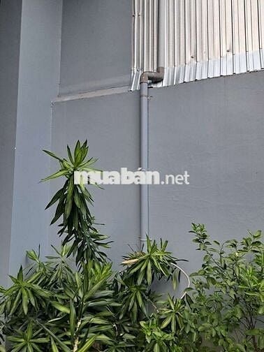 Cho thuê kho và văn phòng 20 Trần Văn Ơn