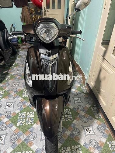 Bán xe grande mới 95% biển số thành phố