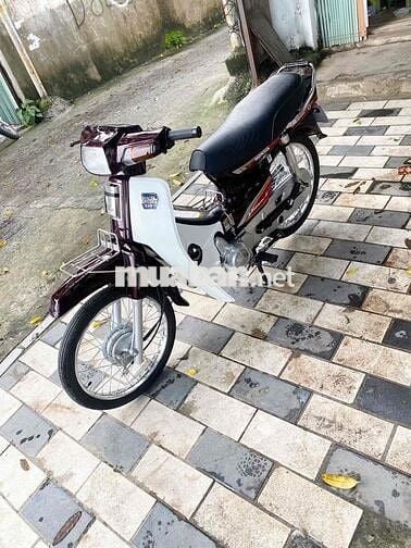 honda dream thái